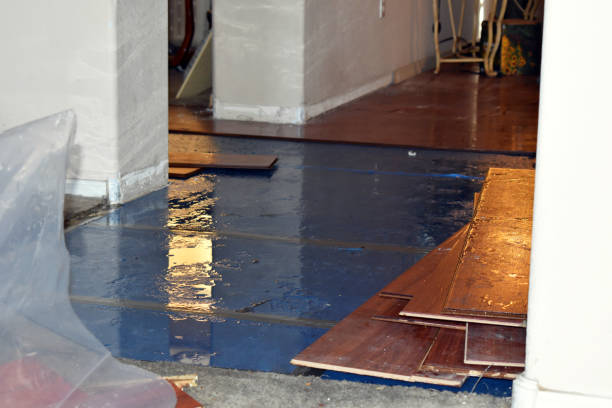 Professional Basement Water Removal technician working in Levasy, MO